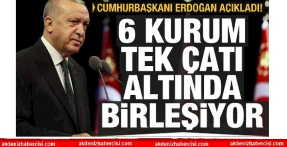 Cumhurbaşkanı Erdoğan: 6 kurum tek çatı altında birleşiyor